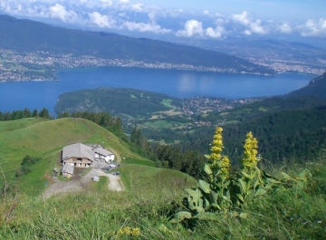 Chalet de l'Aulps